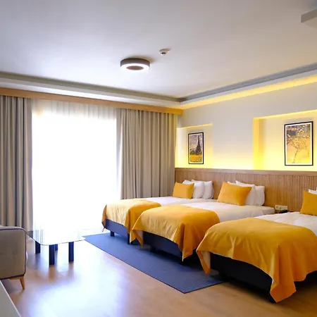 Hotell Dugi Istanbul